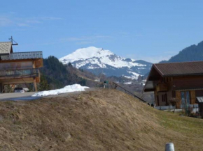 T1 Proche Grand Bornand Et Lac